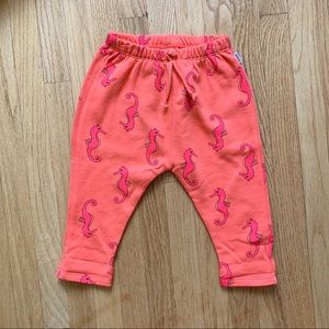 Bonds 100% Cotton Seahorse Sweats 12-18m